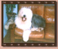 GARDEL�N